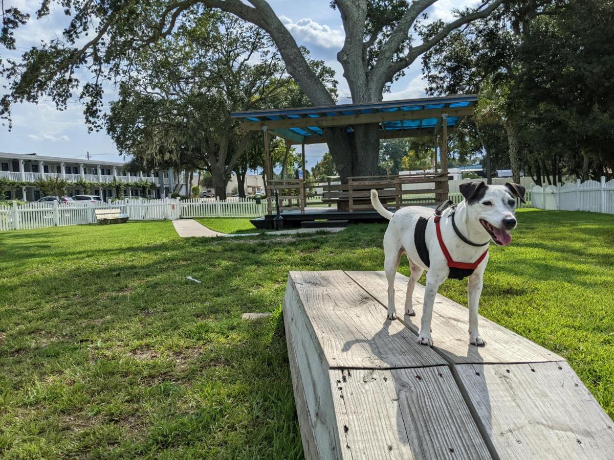 Southern Oaks Inn - Saint Augustine Εξωτερικό φωτογραφία